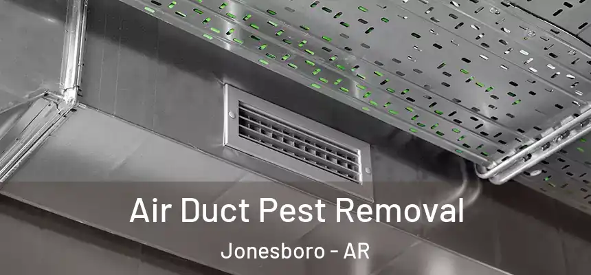 Air Duct Pest Removal Jonesboro - AR