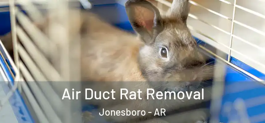 Air Duct Rat Removal Jonesboro - AR