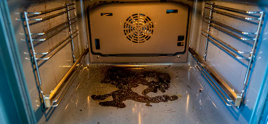 Our Dryer Vent Mold Cleaning Services in Jonesboro, AR