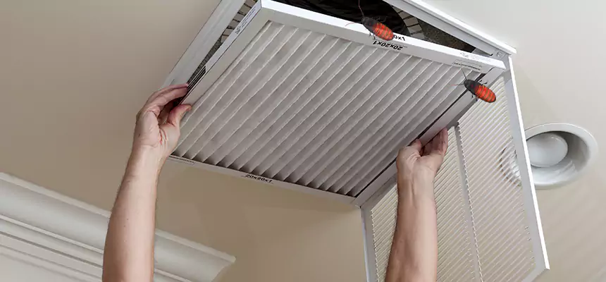 Our Insect Removal from Air Ducts Services in Jonesboro, AR