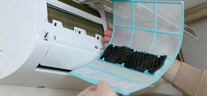 Gentle Ductwork Odor-Control Pet Dander Duct Cleaning in Jonesboro, AR