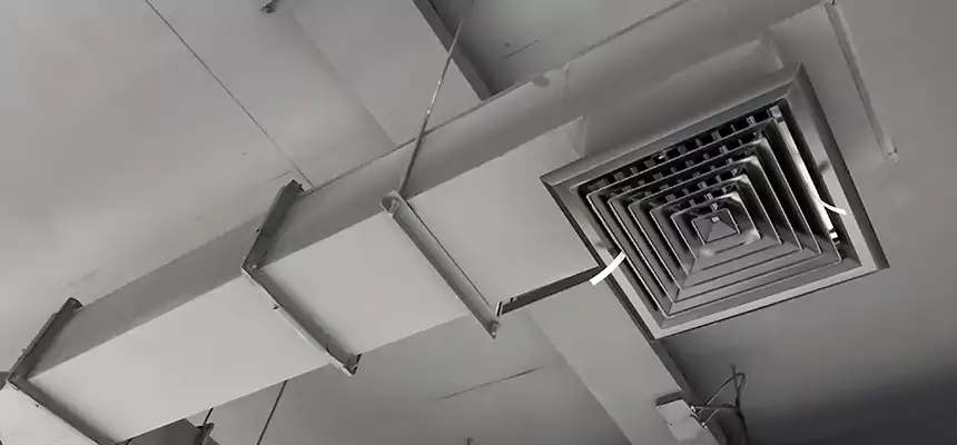 Our Rodent Droppings In Vents Services in Jonesboro, AR