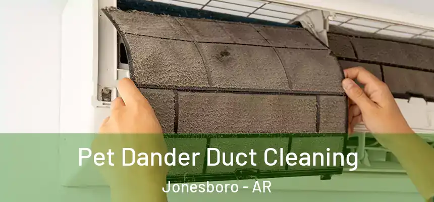 Pet Dander Duct Cleaning Jonesboro - AR