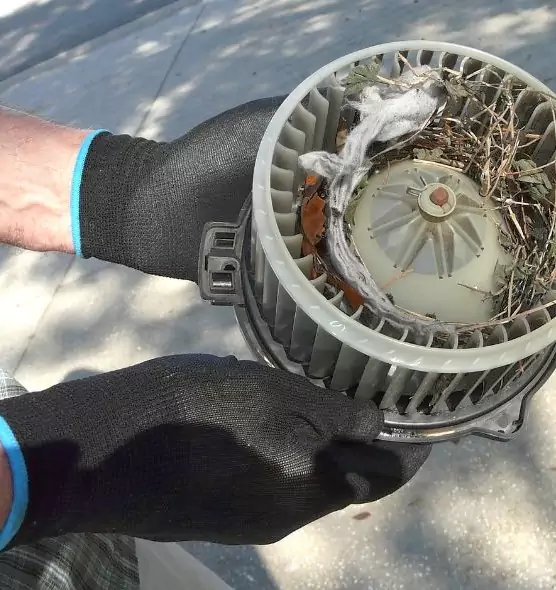 About Air Duct Rat Removal in Jonesboro, AR