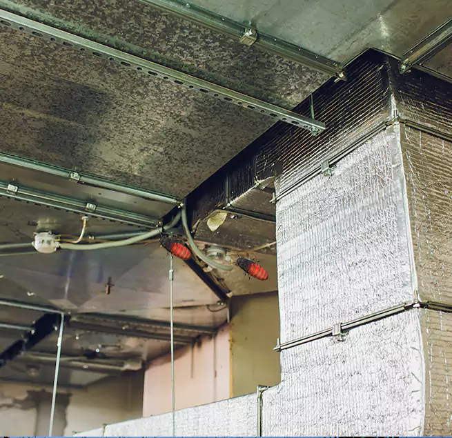 Why Homeowners & Businesses Trust Us in Jonesboro, AR?