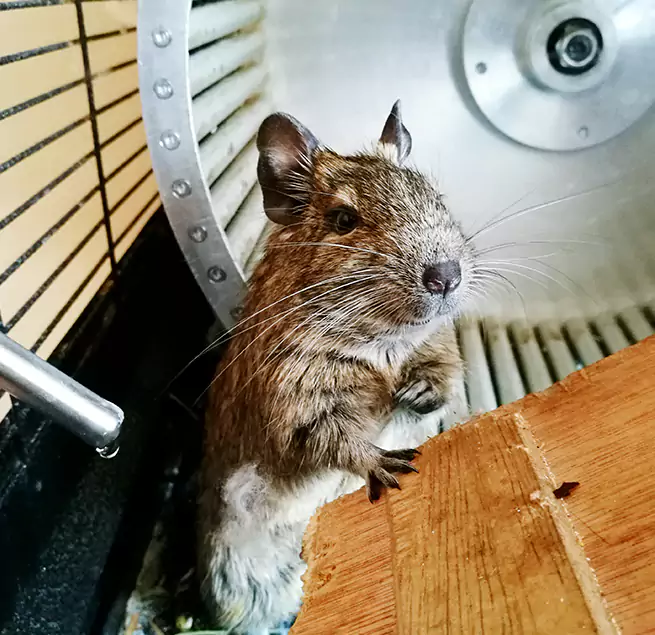 Why Homeowners & Businesses Trust Us Jonesboro, AR?